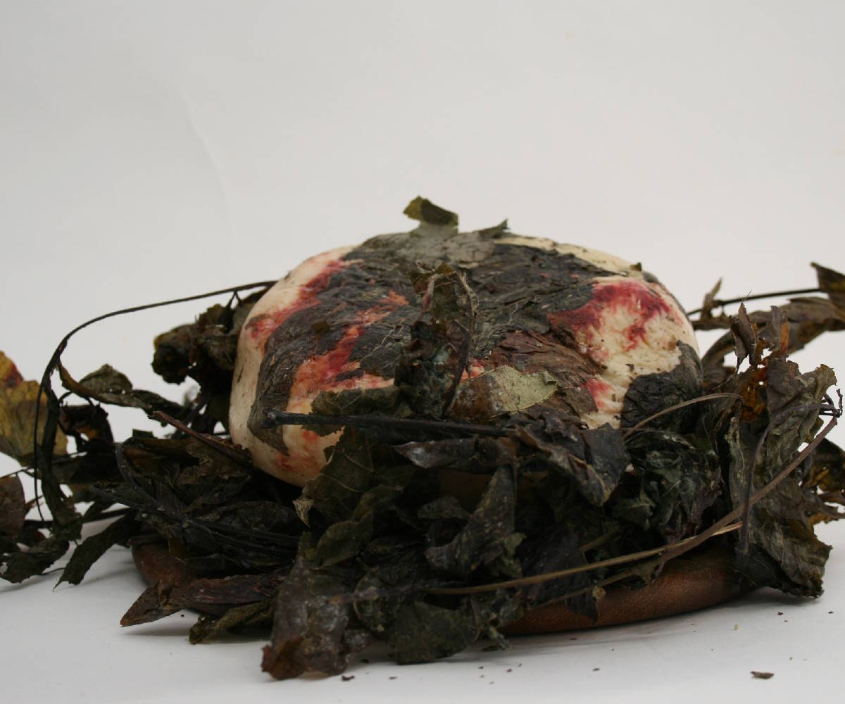 Sheep Cheese of Pienza Aged in Walnut Leaves 